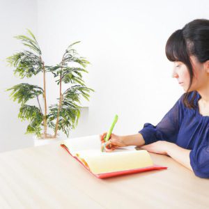 jakie studia